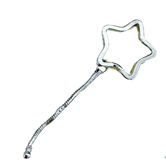 Star Charm Keychain